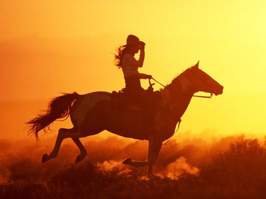 What kind of horse is right for you? What kind of horse is right for you?