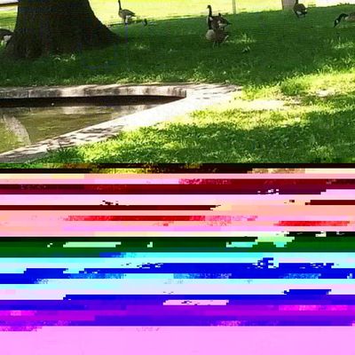 Do you know the colors of the rainbow? Do you know the colors of the rainbow?