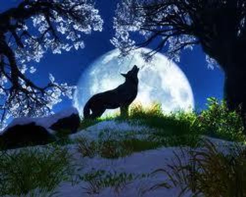 are you an werewolve/wolve (1)
