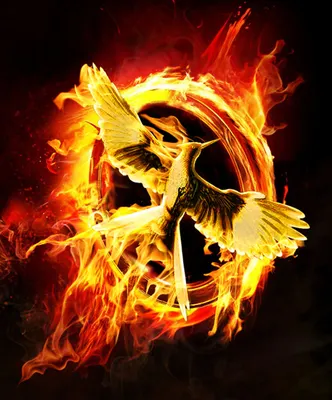 Hunger Games (THE ULTIMATE QUIZ) *Spoiler Alert!!!* (1)