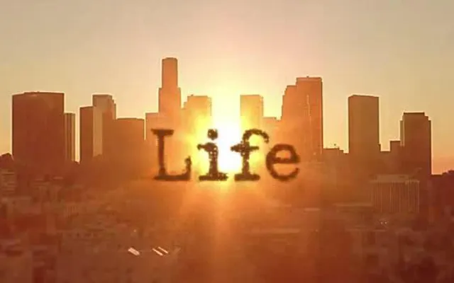 The life ( I'm sorry dudes, I promise there will be a second) The life ( I'm sorry dudes, I promise there will be a second)