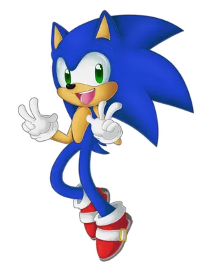 Which of my Sonic characters are you? (1) Which of my Sonic characters are you? (1)