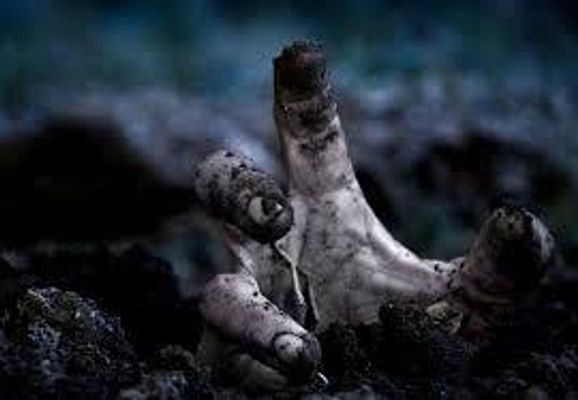Will you survive a zombie apocalypse? Will you survive a zombie apocalypse?