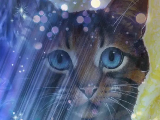 Warrior Cats! <3