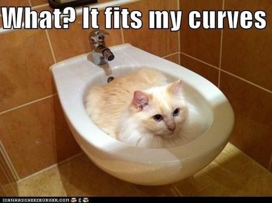 How Well Do You Know FoxLover1211 (ME)?