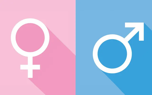 Can I guess your gender? (3)