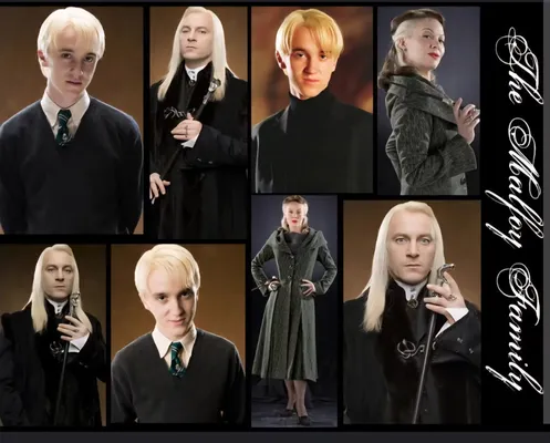 How well do you know the harry potter series? (1)