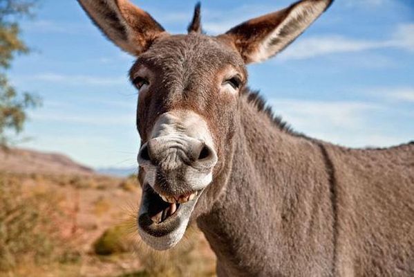 How much of a arse are you? How much of a arse are you?