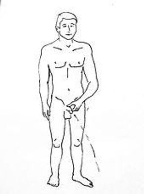 piss patterns that determine whether youre dom, sub, or switch piss patterns that determine whether youre dom, sub, or switch
