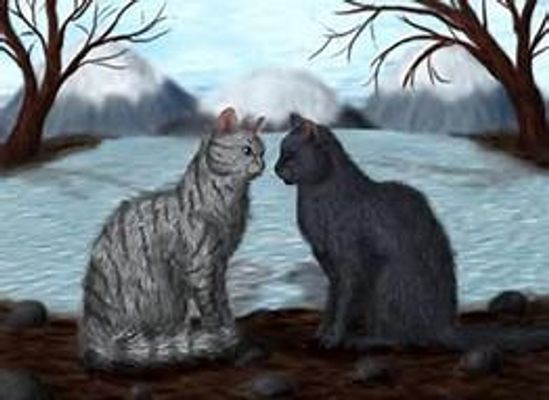 Are you Crowpaw or Feathertail? Are you Crowpaw or Feathertail?