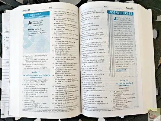 Test Your Knowledge of The Bible