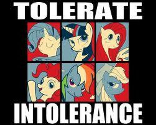 Do You Have What It Takes To Be A Brony / Pegasister? Do You Have What It Takes To Be A Brony / Pegasister?