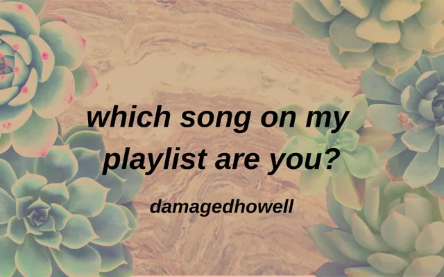 which song on my playlist are you? which song on my playlist are you?