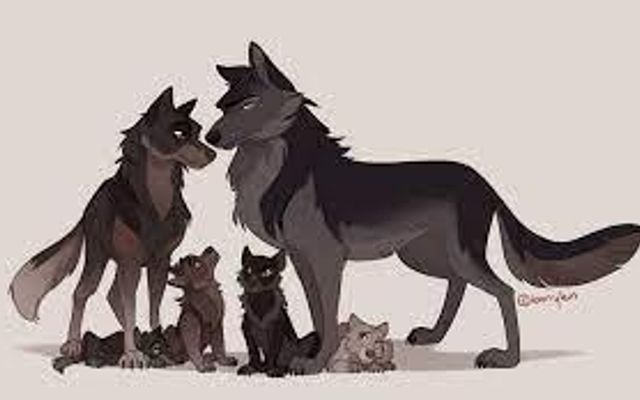 Which Rank are you in a Wolf Pack? Which Rank are you in a Wolf Pack?