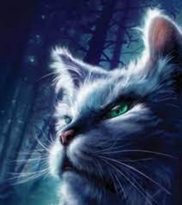 Warrior Cats Quiz (1) Warrior Cats Quiz (1)