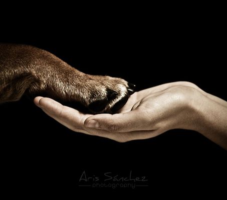What is Unconditional Love? What is Unconditional Love?