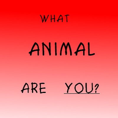 WHAT ANIMAL ARE YOU???