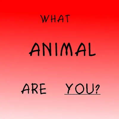 WHAT ANIMAL ARE YOU???