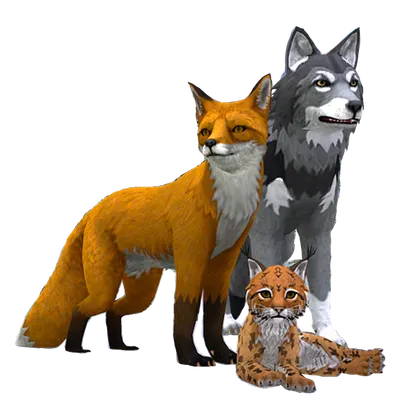 WildCraft Animal Sim Quiz