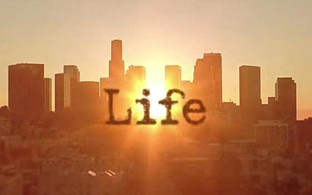 Do you love the life?