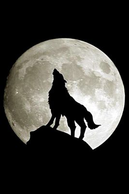 Which one of my wolves are you? Which one of my wolves are you?
