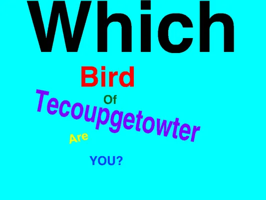 Which Tecoup Bird are you? Which Tecoup Bird are you?