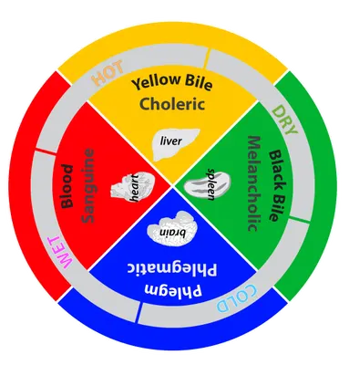 The Four Humors