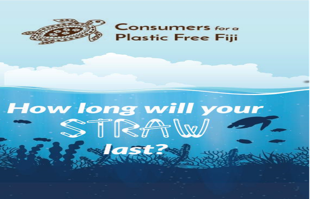How long does your straw last? How long does your straw last?