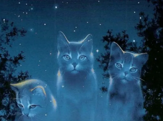 Warrior Cats Quiz- What Clan Are You From?
