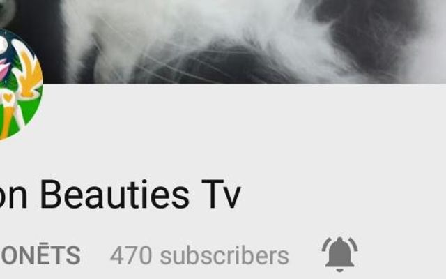 Moon Beauties TV quiz Moon Beauties TV quiz