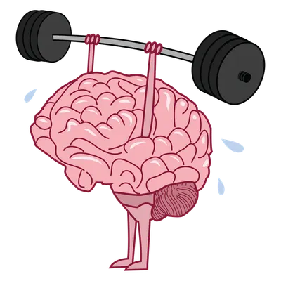 Challenge your Elliptical Training IQ!