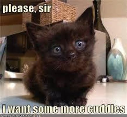 So, Dumbledore got a chatroom... sherbet-lemon lovers are invited!!