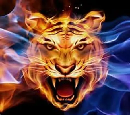 Into The Wild,The Tiger's Shadow Book one