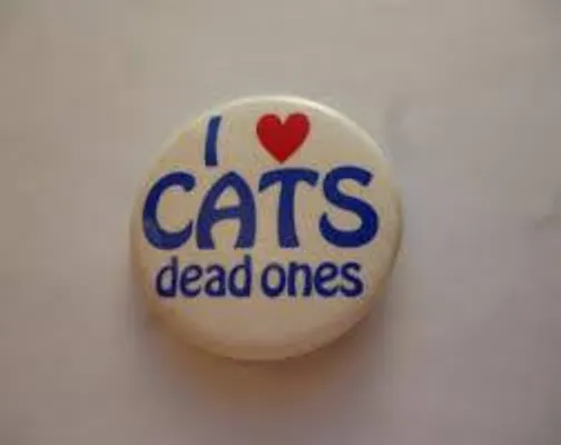 Why I Do Not Like Cats