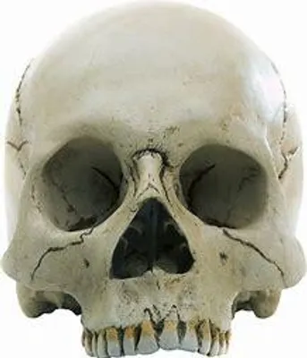 the deaths of the loray family