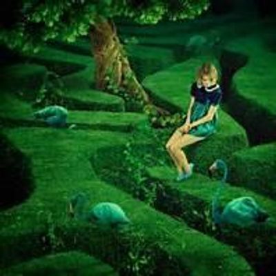 Maze In wonderland