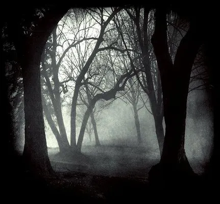 Why Don't You Come and Find Me?