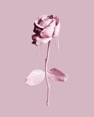Bereavement