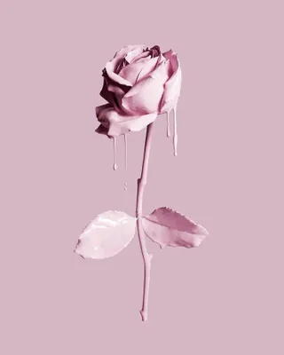 Bereavement