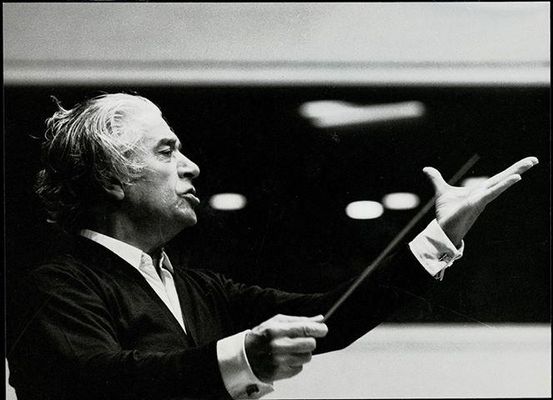 In an orchestra, is a conductor really necessary? What is the purpose and the responsibility of an orchestra conductor? What exactly does he do? In an orchestra, is a conductor really necessary? What is the purpose and the responsibility of an orchestra conductor? What exactly does he do?