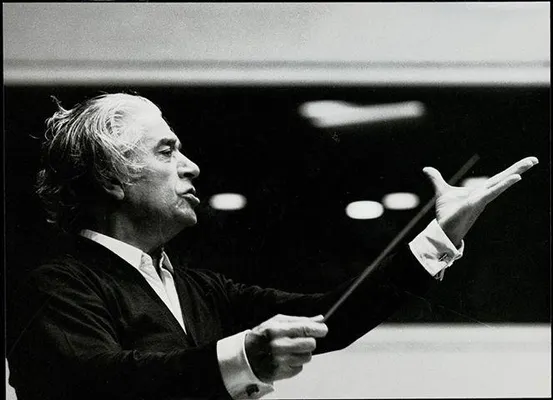 In an orchestra, is a conductor really necessary? What is the purpose and the responsibility of an orchestra conductor? What exactly does he do? In an orchestra, is a conductor really necessary? What is the purpose and the responsibility of an orchestra conductor? What exactly does he do?