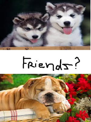Do English Bulldogs and Siberian Huskies get along? Like, if you buy/adopt both of them as puppies? Because I want a Siberian Husky and my little brother wants a English bulldog but we're not sure if they would get along? My mum isn't crazy about two dog breeds in one house though.. so please help! (Persuasions appreciated) Thanks guys! Do English Bulldogs and Siberian Huskies get along? Like, if you buy/adopt both of them as puppies? Because I want a Siberian Husky and my little brother wants a English bulldog but we're not sure if they would get along? My mum isn't crazy about two dog breeds in one house though.. so please help! (Persuasions appreciated) Thanks guys!