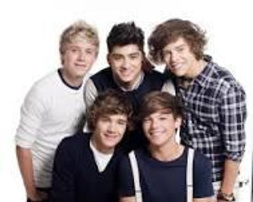 which is your favourite one direction member? Who is ur fav 1d member. Do u like niall, louis, zayn, harry or liam. which is your favourite one direction member? Who is ur fav 1d member. Do u like niall, louis, zayn, harry or liam.