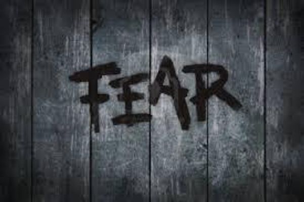 What Is Your Greatest Fear? Its OK To Admit What Scares You, Be It Something Like Being Scared Of the Dark To Being Scared That Someone You Care About Dies. My Greatest Fear Is Everyone I Love Dies And I'm Left By Myself Forever. What Is Your Greatest Fear? Its OK To Admit What Scares You, Be It Something Like Being Scared Of the Dark To Being Scared That Someone You Care About Dies. My Greatest Fear Is Everyone I Love Dies And I'm Left By Myself Forever.