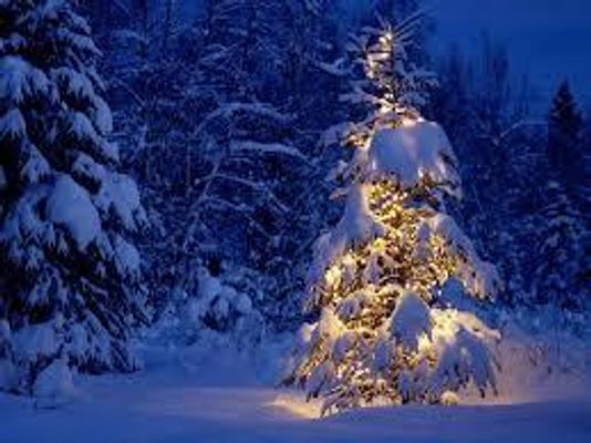 ARE YOU EXCITED FOR CHRISTMAS???? Are you guys excited for Christmas? Tell me your favourite thing about it! ARE YOU EXCITED FOR CHRISTMAS???? Are you guys excited for Christmas? Tell me your favourite thing about it!