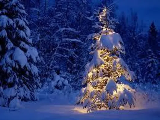 ARE YOU EXCITED FOR CHRISTMAS???? Are you guys excited for Christmas? Tell me your favourite thing about it! ARE YOU EXCITED FOR CHRISTMAS???? Are you guys excited for Christmas? Tell me your favourite thing about it!