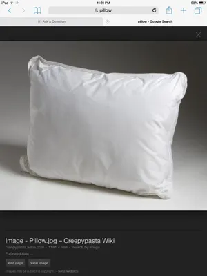 What do you think of this pillow? I wanted to know what people thought about this pillow! Comment below! What do you think of this pillow? I wanted to know what people thought about this pillow! Comment below!