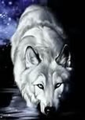 Does anyone here play Wolf Quest??? I love wolf quest and I want to rp but no one seems to be on the multiplayer Does anyone here play Wolf Quest??? I love wolf quest and I want to rp but no one seems to be on the multiplayer