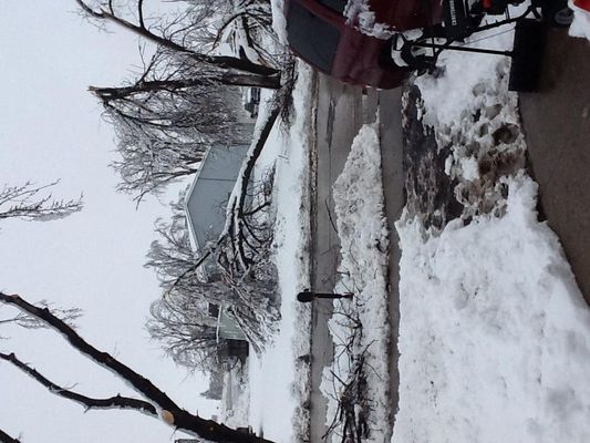 Anyone else live in MN? Look at the picture. If you do then you might know what is happening. Here's what happened.... On Tuesday night it started raining, the next morning all that water had frozen and became ice. All the ice that was on the trees was too much weight for the trees to hold so they were breaking. Some trees are even split in half! The power isn't that good either. Right now they say this might last 24-48 more hours. The good part is that there is no school. We even got about 6 inches of snow. I thought it was supposed to be spring, but I guess not. What do you think about this? Anyone else live in MN? Look at the picture. If you do then you might know what is happening. Here's what happened.... On Tuesday night it started raining, the next morning all that water had frozen and became ice. All the ice that was on the trees was too much weight for the trees to hold so they were breaking. Some trees are even split in half! The power isn't that good either. Right now they say this might last 24-48 more hours. The good part is that there is no school. We even got about 6 inches of snow. I thought it was supposed to be spring, but I guess not. What do you think about this?