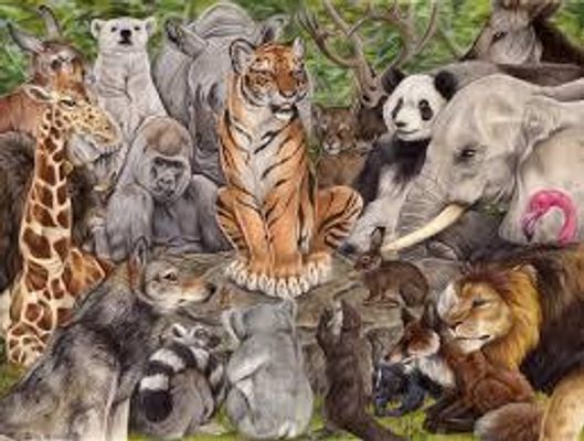 Do you think I can be an author? I am not a teenager yet so my writing might not be author-average but is it good for my age? This is a link to 1 of my stories - a Divergent fanfic: http://www.qfeast.com/story/5093/Divergent-Amity-Initiate P.S If u do not like it can u please give (positive) feedback why! Do you think I can be an author? I am not a teenager yet so my writing might not be author-average but is it good for my age? This is a link to 1 of my stories - a Divergent fanfic: http://www.qfeast.com/story/5093/Divergent-Amity-Initiate P.S If u do not like it can u please give (positive) feedback why!